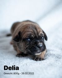 2022-02-26 04 Delia